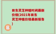 田东灵芝种植时间最新价格(2021年田东灵芝种植价格最新报告)