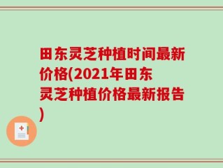 田东灵芝种植时间最新价格(2021年田东灵芝种植价格最新报告)