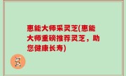 惠能大师采灵芝(惠能大师重磅推荐灵芝，助您健康长寿)