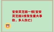 宝安灵芝园一楼(宝安灵芝园1楼发生重大事故，多人伤亡)