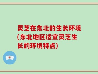 灵芝在东北的生长环境(东北地区适宜灵芝生长的环境特点)