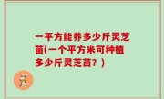 一平方能养多少斤灵芝苗(一个平方米可种植多少斤灵芝苗？)