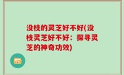 没枝的灵芝好不好(没枝灵芝好不好：探寻灵芝的神奇功效)