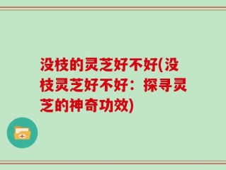 没枝的灵芝好不好(没枝灵芝好不好：探寻灵芝的神奇功效)