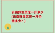 云南野生灵芝一斤多少(云南野生灵芝一斤价格多少？)