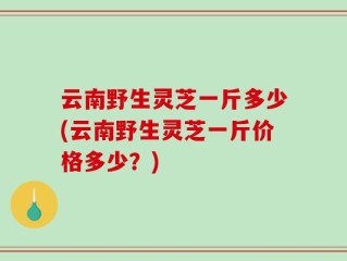 云南野生灵芝一斤多少(云南野生灵芝一斤价格多少？)