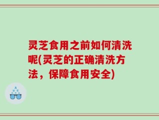灵芝食用之前如何清洗呢(灵芝的正确清洗方法，保障食用安全)