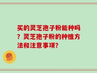买的灵芝孢子粉能种吗？灵芝孢子粉的种植方法和注意事项？