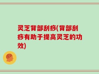 灵芝背部刮痧(背部刮痧有助于提高灵芝的功效)