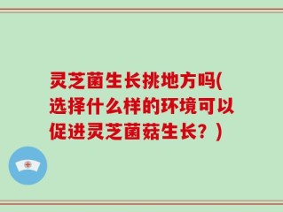 灵芝菌生长挑地方吗(选择什么样的环境可以促进灵芝菌菇生长？)