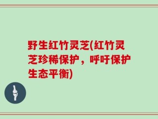 野生红竹灵芝(红竹灵芝珍稀保护，呼吁保护生态平衡)