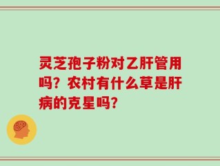 灵芝孢子粉对乙肝管用吗？农村有什么草是肝病的克星吗？