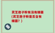 灵芝孢子粉有没有细菌(灵芝孢子粉是否含有细菌？)