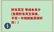 野生灵芝 零成本多少(免费野生灵芝采摘，不花一分钱就能获得好处！)