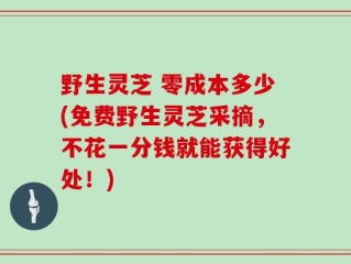 野生灵芝 零成本多少(免费野生灵芝采摘，不花一分钱就能获得好处！)