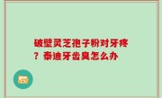 破壁灵芝孢子粉对牙疼？泰迪牙齿臭怎么办