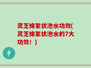 灵芝棉絮状泡水功效(灵芝棉絮状泡水的7大功效！)