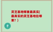 灵芝基地哪里最真实(最真实的灵芝基地在哪里？)