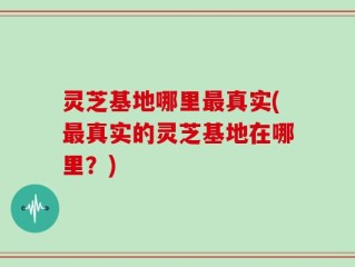 灵芝基地哪里最真实(最真实的灵芝基地在哪里？)