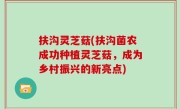 扶沟灵芝菇(扶沟菌农成功种植灵芝菇，成为乡村振兴的新亮点)