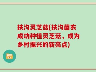 扶沟灵芝菇(扶沟菌农成功种植灵芝菇，成为乡村振兴的新亮点)