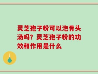 灵芝孢子粉可以泡骨头汤吗？灵芝孢子粉的功效和作用是什么