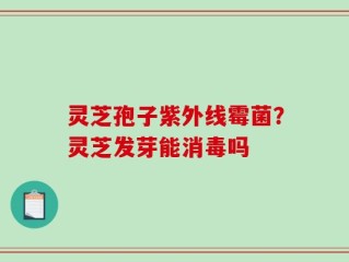 灵芝孢子紫外线霉菌？灵芝发芽能消毒吗