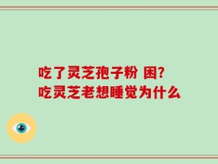吃了灵芝孢子粉 困？吃灵芝老想睡觉为什么