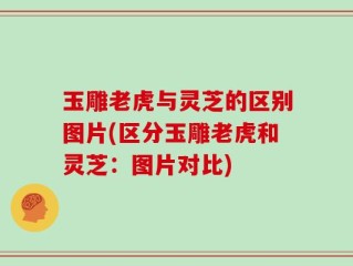 玉雕老虎与灵芝的区别图片(区分玉雕老虎和灵芝：图片对比)