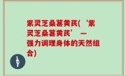 紫灵芝桑葚黄芪(‘紫灵芝桑葚黄芪’ — 强力调理身体的天然组合)