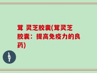 茸 灵芝胶囊(茸灵芝胶囊：提高免疫力的良药)
