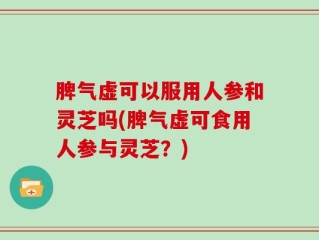 脾气虚可以服用人参和灵芝吗(脾气虚可食用人参与灵芝？)