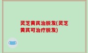 灵芝黄芪治脱发(灵芝黄芪可治疗脱发)