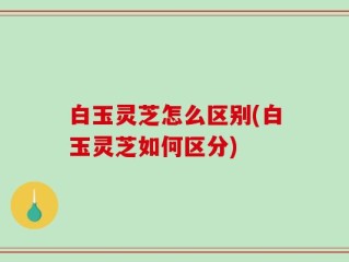 白玉灵芝怎么区别(白玉灵芝如何区分)