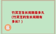 竹灵芝生长周期是多久(竹灵芝的生长周期有多长？)
