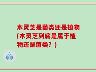木灵芝是菌类还是植物(木灵芝到底是属于植物还是菌类？)