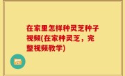 在家里怎样种灵芝种子视频(在家种灵芝，完整视频教学)