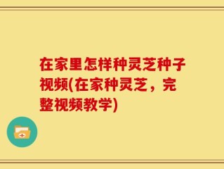 在家里怎样种灵芝种子视频(在家种灵芝，完整视频教学)