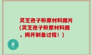 灵芝孢子粉原材料图片(灵芝孢子粉原材料图，揭开制备过程！)
