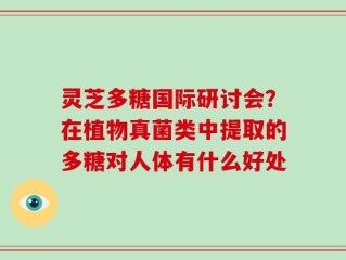 灵芝多糖国际研讨会？在植物真菌类中提取的多糖对人体有什么好处