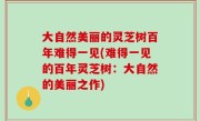 大自然美丽的灵芝树百年难得一见(难得一见的百年灵芝树：大自然的美丽之作)