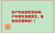 在户外捡到灵芝好吗(户外意外发现灵芝，是幸运还是助运？)