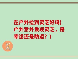 在户外捡到灵芝好吗(户外意外发现灵芝，是幸运还是助运？)