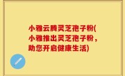 小雅云腾灵芝孢子粉(小雅推出灵芝孢子粉，助您开启健康生活)