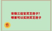 安徽三菇宝灵芝孢子？哪里可以买到灵芝孢子