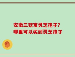 安徽三菇宝灵芝孢子？哪里可以买到灵芝孢子
