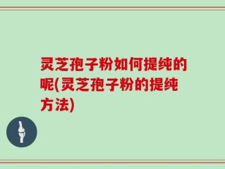 灵芝孢子粉如何提纯的呢(灵芝孢子粉的提纯方法)
