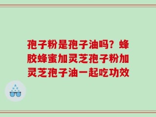 孢子粉是孢子油吗？蜂胶蜂蜜加灵芝孢子粉加灵芝孢子油一起吃功效