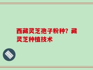 西藏灵芝孢子粉种？藏灵芝种植技术