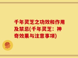 千年灵芝之功效和作用及禁忌(千年灵芝：神奇效果与注意事项)